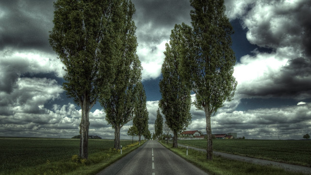 Road trees barn cloudy sky free wallpaper for desktop - medium preview image