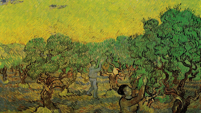 Man picking fruit nature jungle free wallpaper for desktop - medium preview image