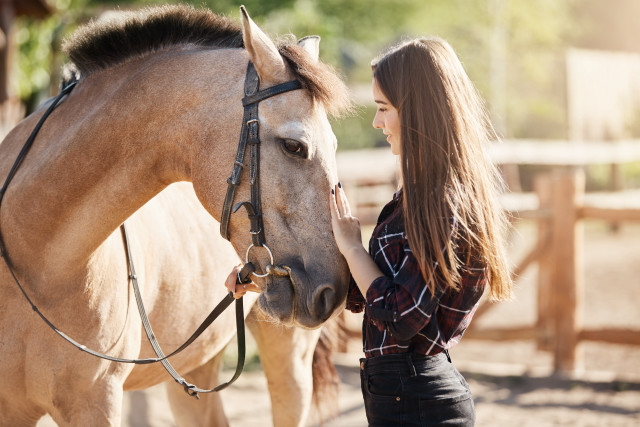 Woman horse stable outdoors denim free wallpaper for desktop - medium preview image