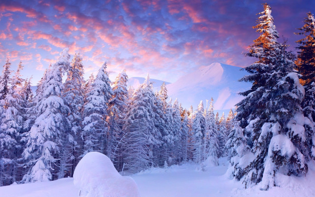 Snowy mountain forest sunset pink free wallpaper for desktop - medium preview image