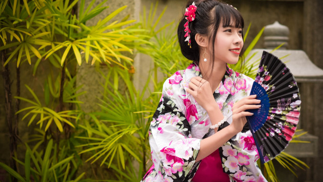 Kimono fan bush building fireworks free wallpaper for desktop - medium preview image