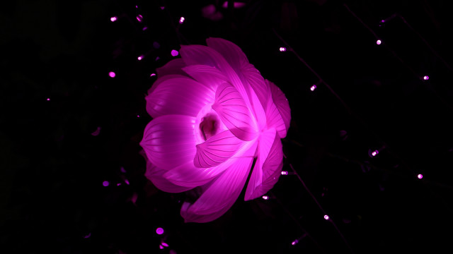 Large pink flower hologram glowing free wallpaper for desktop - medium preview image