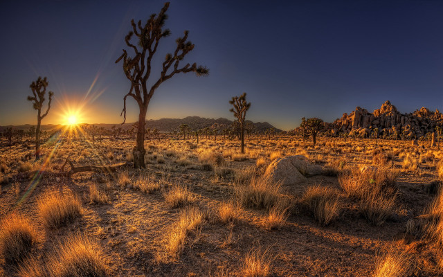 Desert sunset trees rocks city #2 free wallpaper for desktop - medium preview image