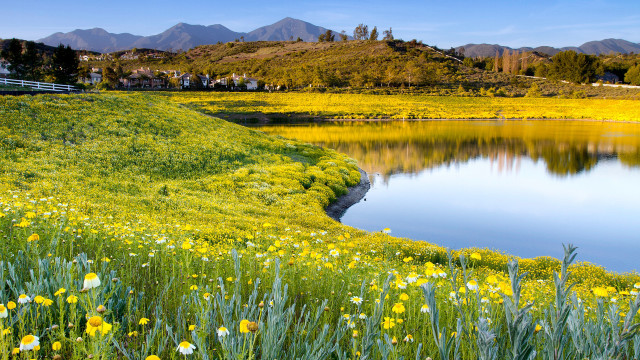 Flower field lake mountains fence free wallpaper for desktop - medium preview image