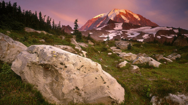 Mountain snow peak forest river free wallpaper for desktop - medium preview image