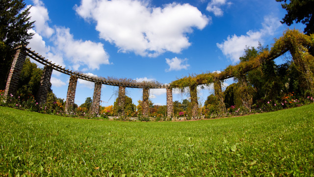 Stone arch field trees clouds free wallpaper for desktop - medium preview image
