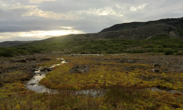 Grassy stream mountain clouds ecological free wallpaper for desktop - medium preview image