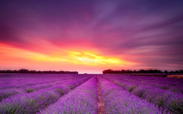 Lavender sunset clouds purple hue free wallpaper for desktop - medium preview image