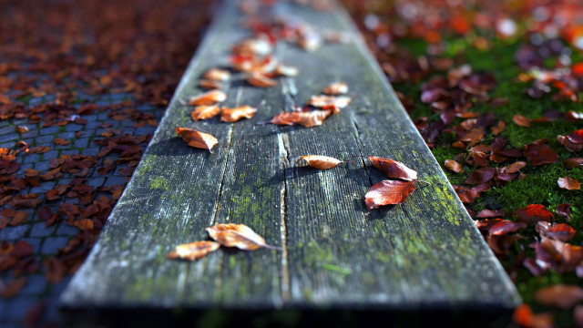 Wooden bench fall leaves bokeh free wallpaper for desktop - medium preview image