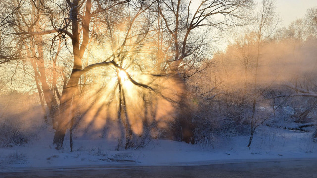 Sunbeam trees snow river winter free wallpaper for desktop - medium preview image