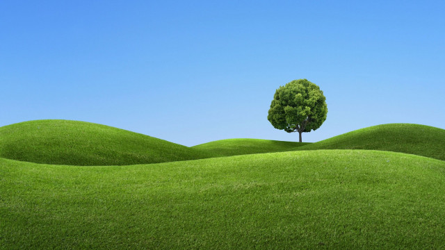 Lone tree grassy field blue #4 free wallpaper for desktop - medium preview image