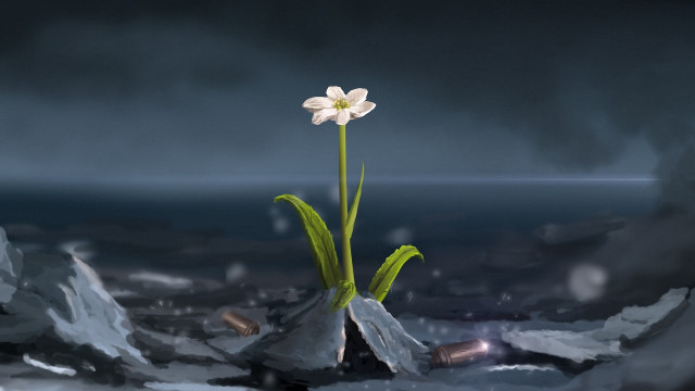 Flower rock snow darksky bloom free wallpaper for desktop - medium preview image