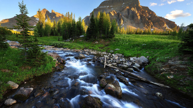 Lush forest stream mountain scenery free wallpaper for desktop - medium preview image