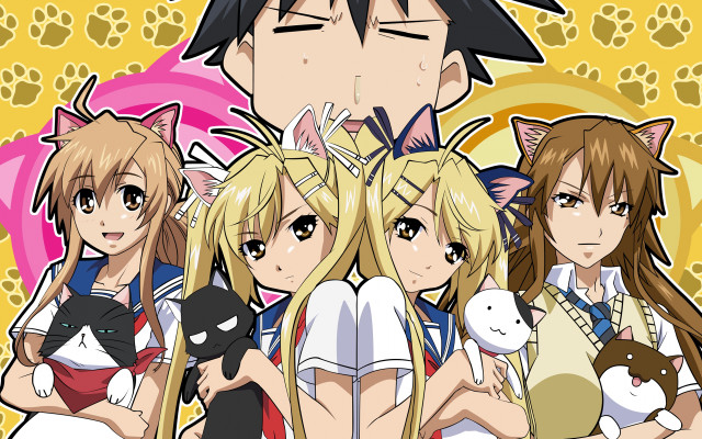 Anime characters cats shoulder group free wallpaper for desktop - medium preview image