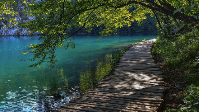 Wooden walkway lake dock trees free wallpaper for desktop - medium preview image