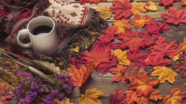 Autumn leaves coffee blanket dried free wallpaper for desktop - medium preview image