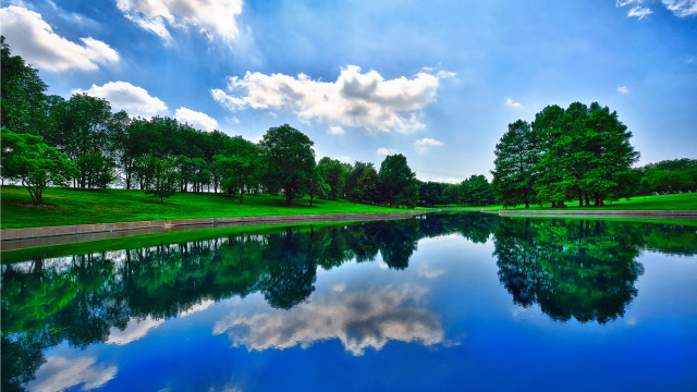 Lake forest sky clouds grass free wallpaper for desktop - medium preview image