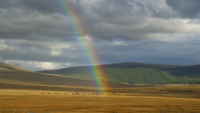 Rainbow mountains field animals sky free wallpaper for desktop - medium preview image