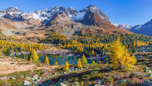 Mountain lake trees rocks snow free wallpaper for desktop - medium preview image
