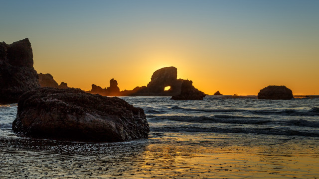 Sunset ocean rocks bird reflection free wallpaper for desktop - medium preview image