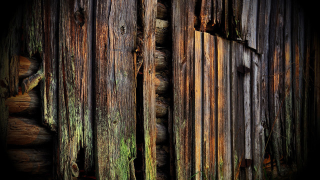 Wooden wall peeling paint moss free wallpaper for desktop - medium preview image