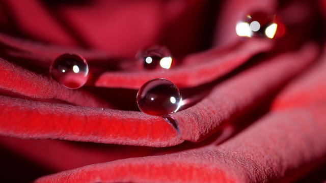 Red cloth water droplets macro free wallpaper for desktop - medium preview image