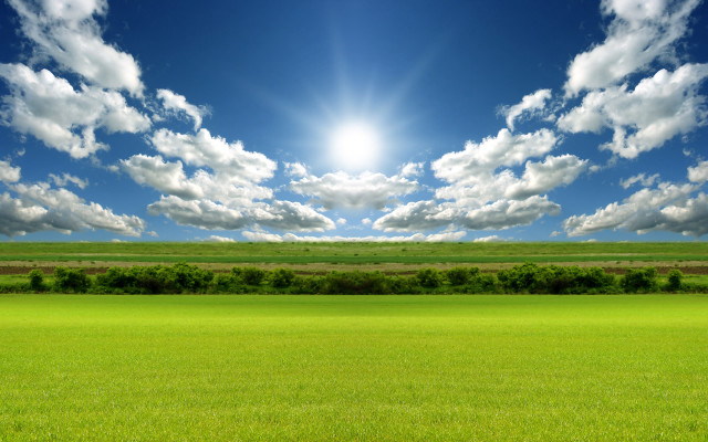 Sunny field mountains trees ocean free wallpaper for desktop - medium preview image