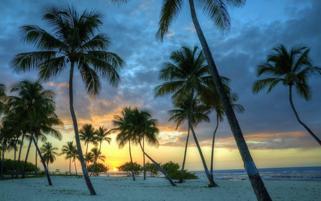 Beach sunset palm trees clouds free wallpaper for desktop - medium preview image