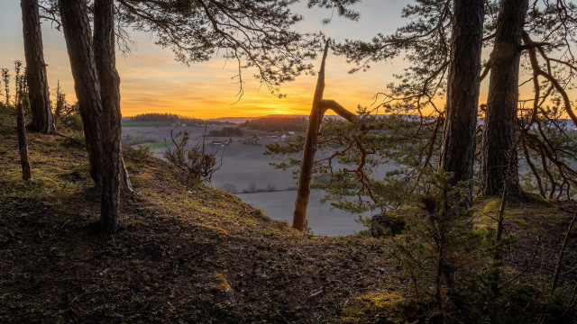 Sunset trees water hill landart free wallpaper for desktop - medium preview image