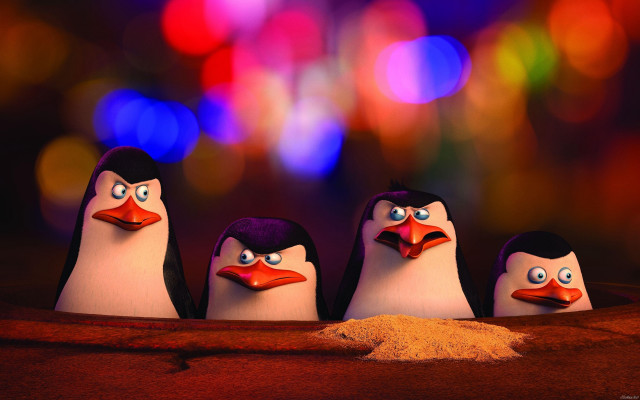 Penguins googly eyes bright background free wallpaper for desktop - medium preview image