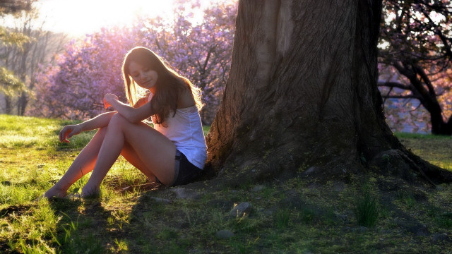 Woman sitting tree cellphone autumn free wallpaper for desktop - medium preview image