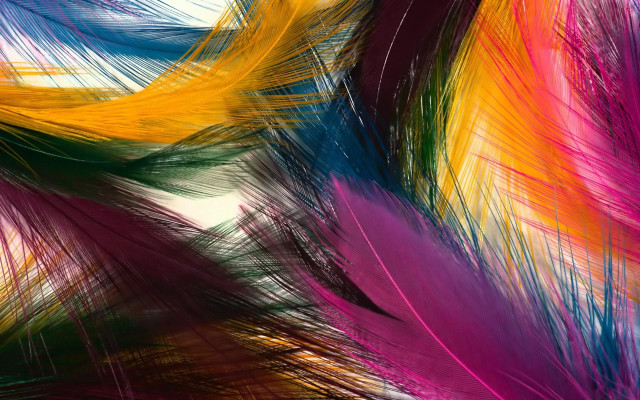 Colorful feathers abstract brushstrokes fireworks free wallpaper for desktop - medium preview image