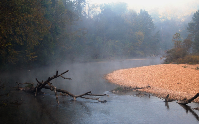 River trees fog logs environmental free wallpaper for desktop - medium preview image