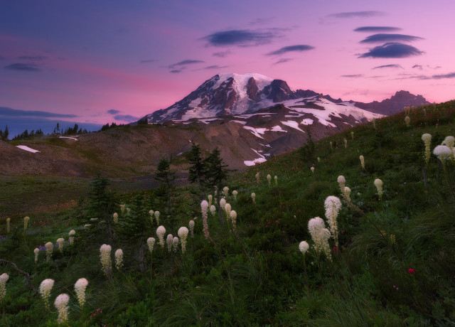 Mountain flower field sunset gradient free wallpaper for desktop - medium preview image