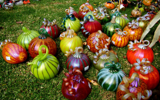 Pumpkins grass vibrant harvest art free wallpaper for desktop - medium preview image