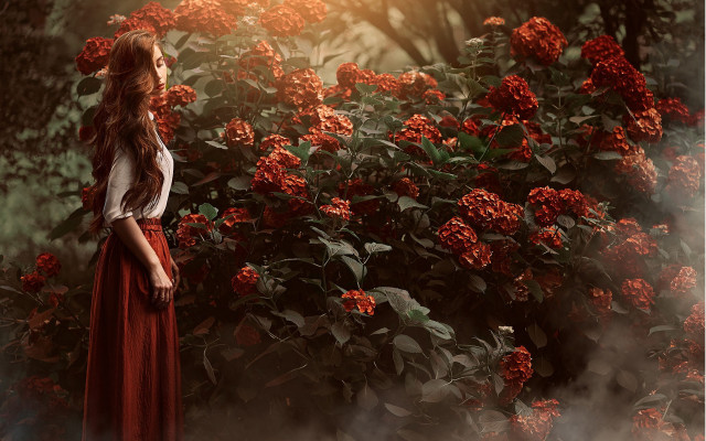 Woman red dress flower field free wallpaper for desktop - medium preview image