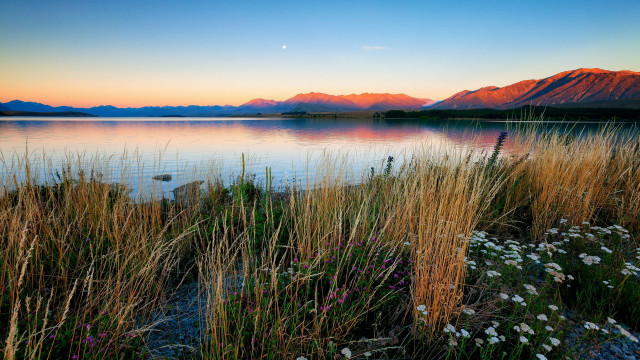 Lake mountains sunset flowers grass free wallpaper for desktop - medium preview image