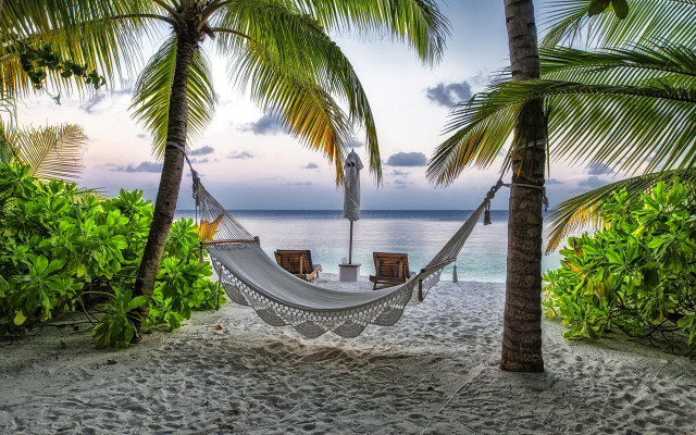 Hammock palm beach sunset ocean free wallpaper for desktop - medium preview image