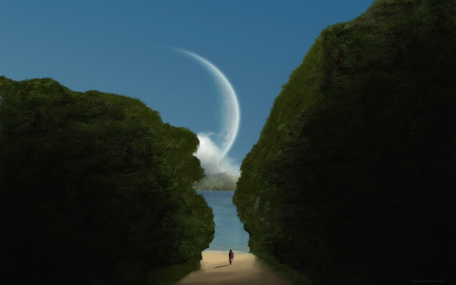 Person path trees water bird free wallpaper for desktop - medium preview image