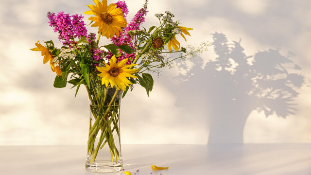 Vase flowers shadow wall still free wallpaper for desktop - medium preview image