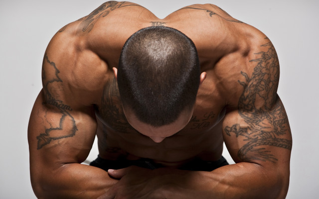 Bald man tattooed muscular sitting free wallpaper for desktop - medium preview image