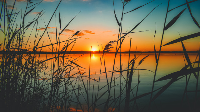 Sunset lake tallgrass orange sky #3 free wallpaper for desktop - medium preview image