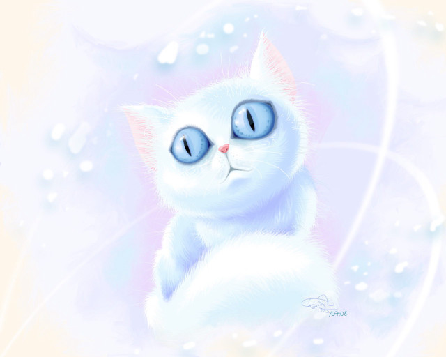 White cat blue eyes bubbles #2 free wallpaper for desktop - medium preview image