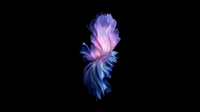 Purple blue fish floating dark free wallpaper for desktop - medium preview image