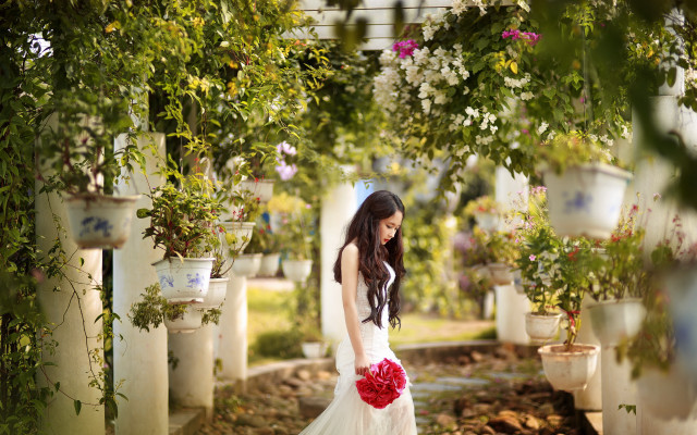 Woman white dress red bouquet free wallpaper for desktop - medium preview image