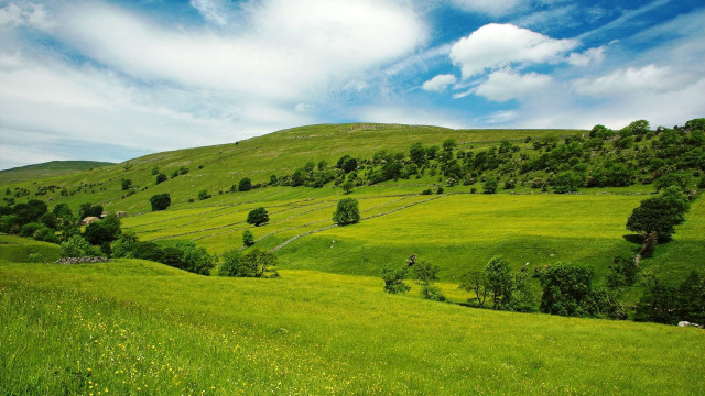 Lush green hillside trees clouds free wallpaper for desktop - medium preview image