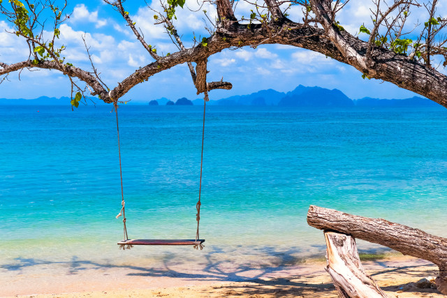 Beach ocean mountains swing trees free wallpaper for desktop - medium preview image
