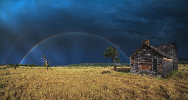 House field rainbow tree mountain free wallpaper for desktop - medium preview image