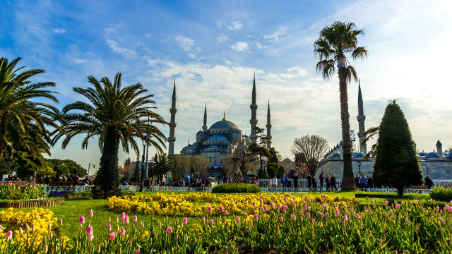 Blue dome palm garden city free wallpaper for desktop - medium preview image