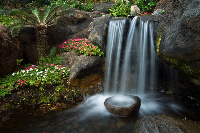 Waterfall garden rocks flowers plant free wallpaper for desktop - medium preview image